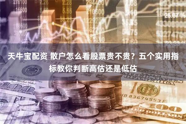 天牛宝配资 散户怎么看股票贵不贵？五个实用指标教你判断高估还是低估
