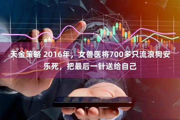 天金策略 2016年，女兽医将700多只流浪狗安乐死，把最后一针送给自己