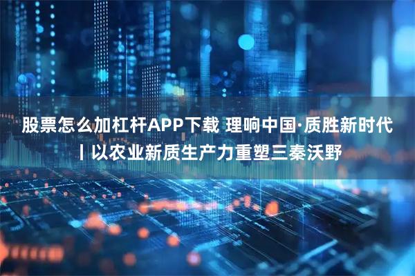 股票怎么加杠杆APP下载 理响中国·质胜新时代丨以农业新质生产力重塑三秦沃野